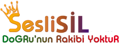 SesliSil.Com, SesliChat, SesliSohbet, SesliSiteler